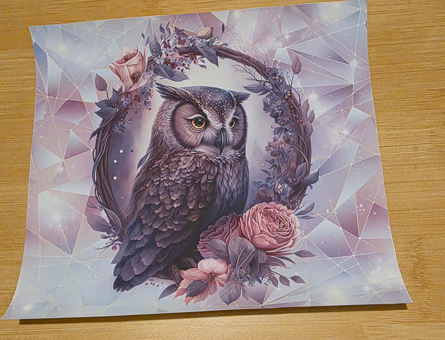 Owl