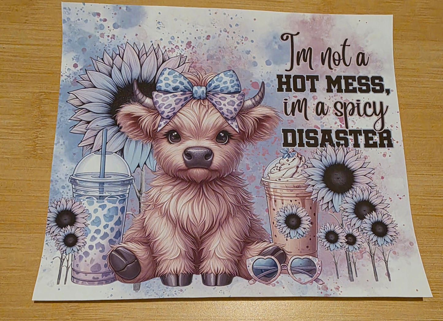 Im not a hot mess im a spicy disaster
