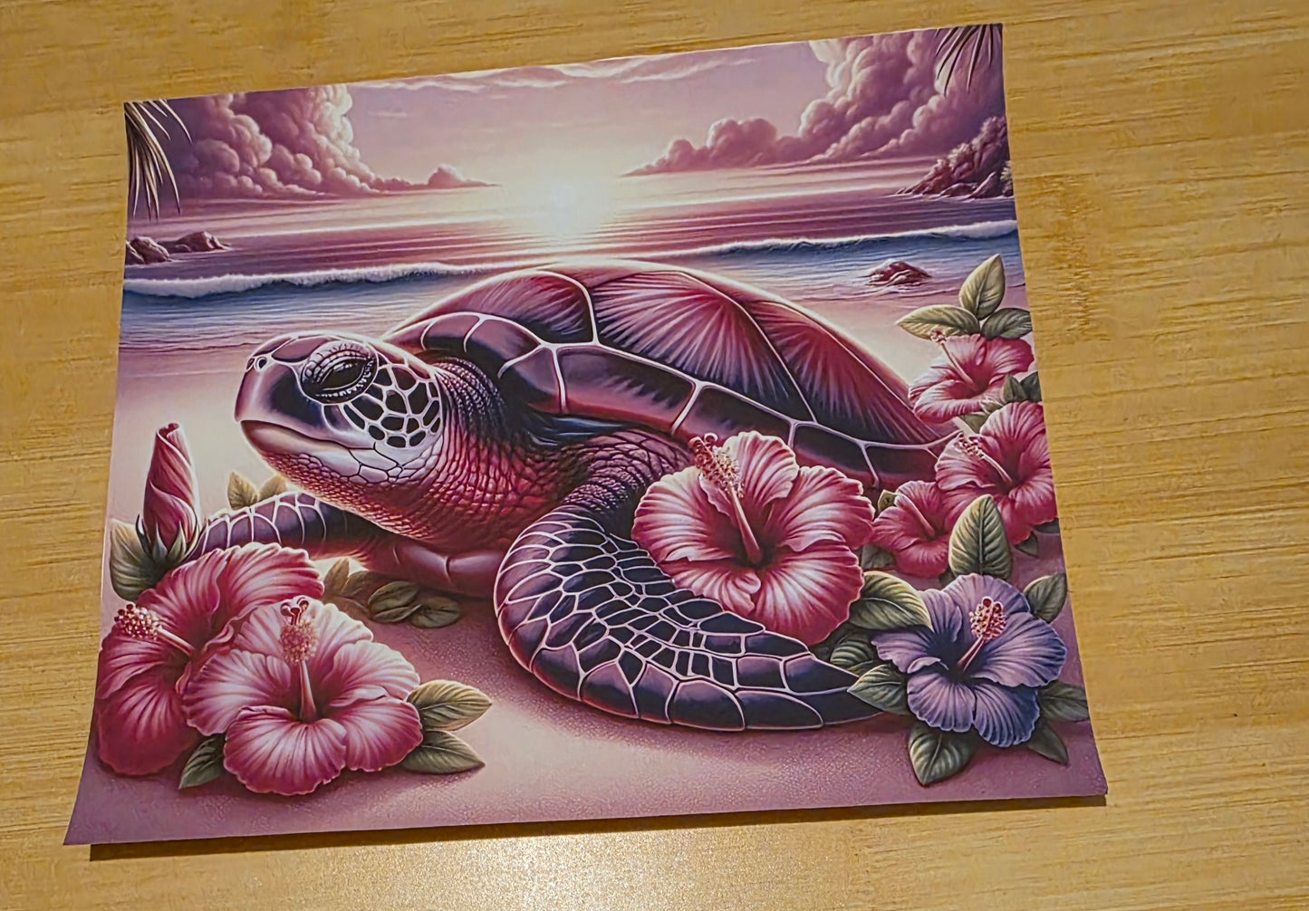 Sea turtle
