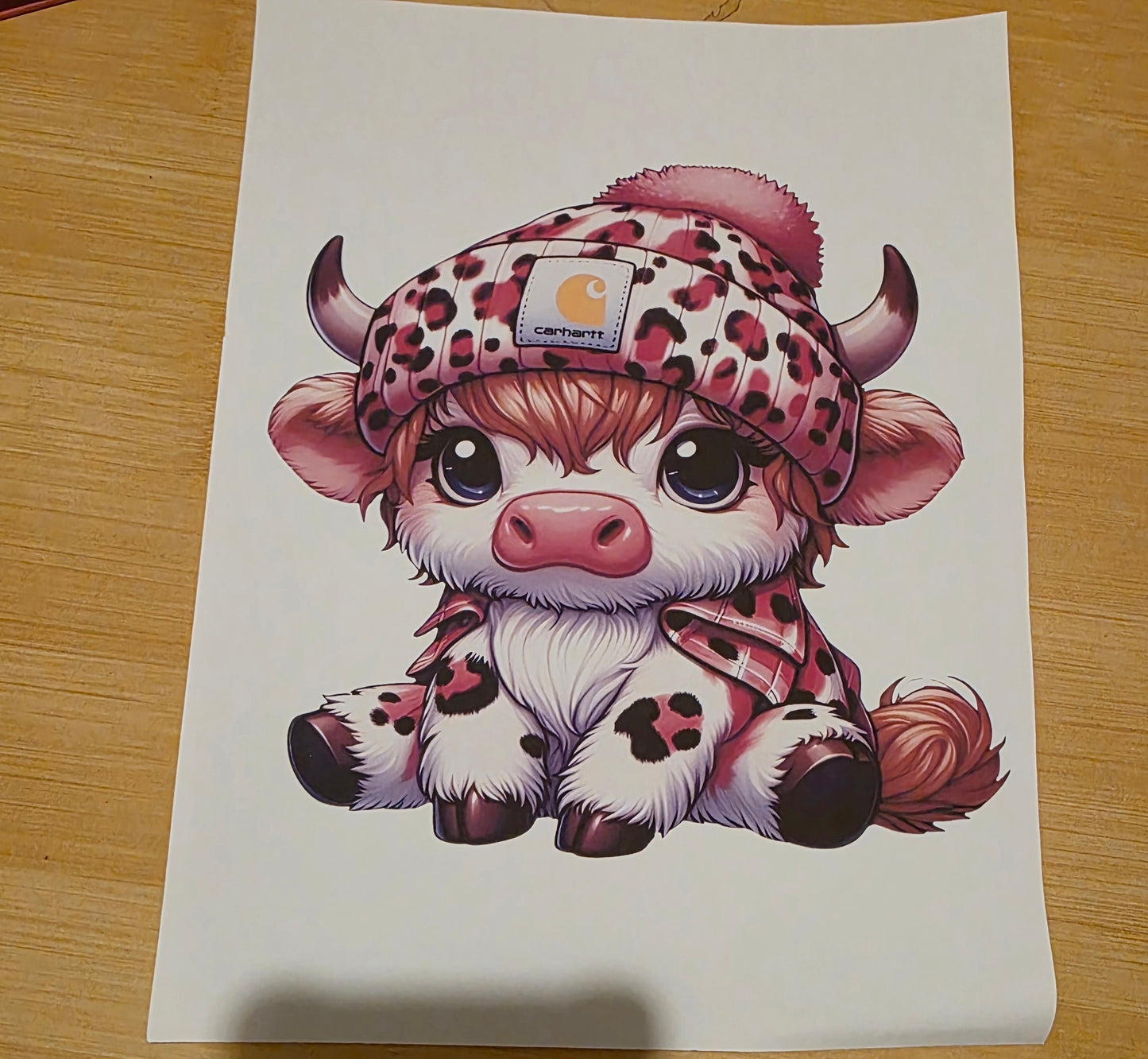 Highland Cow