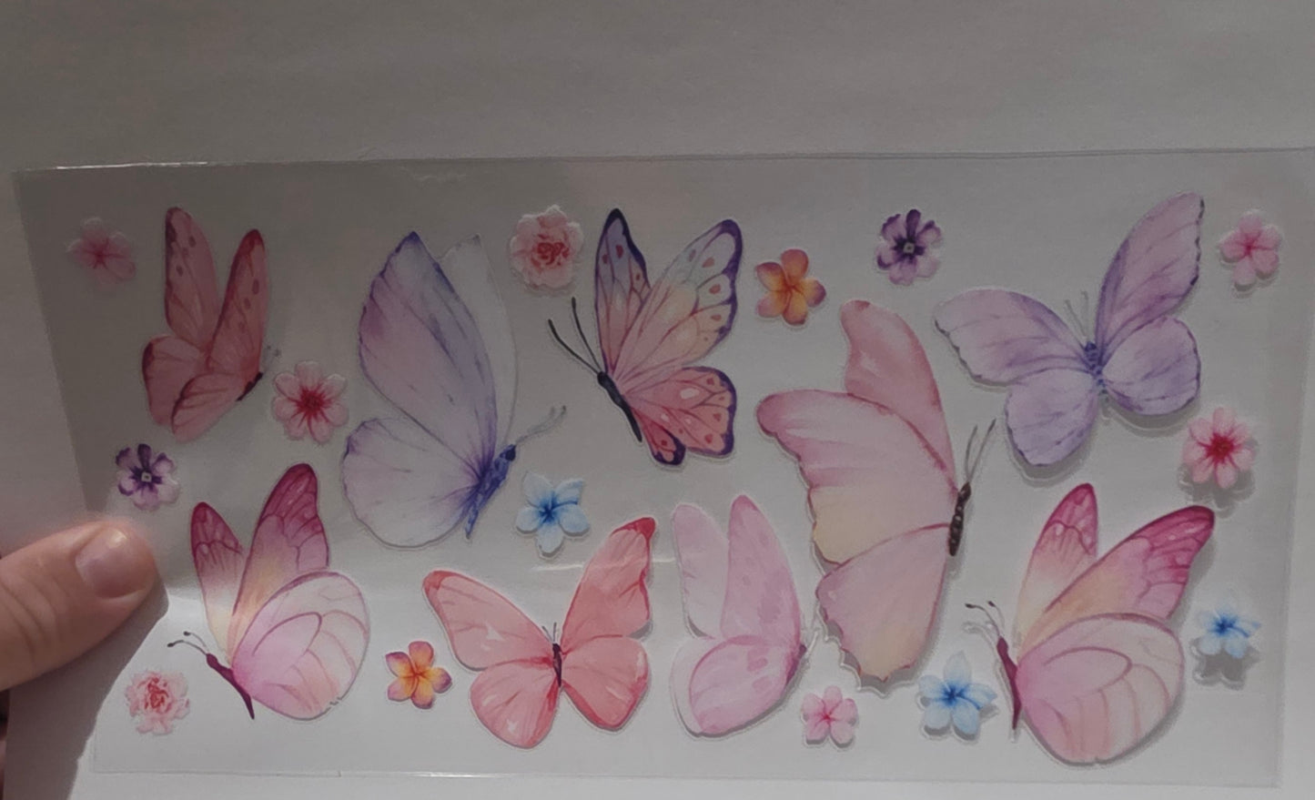 Butterflies