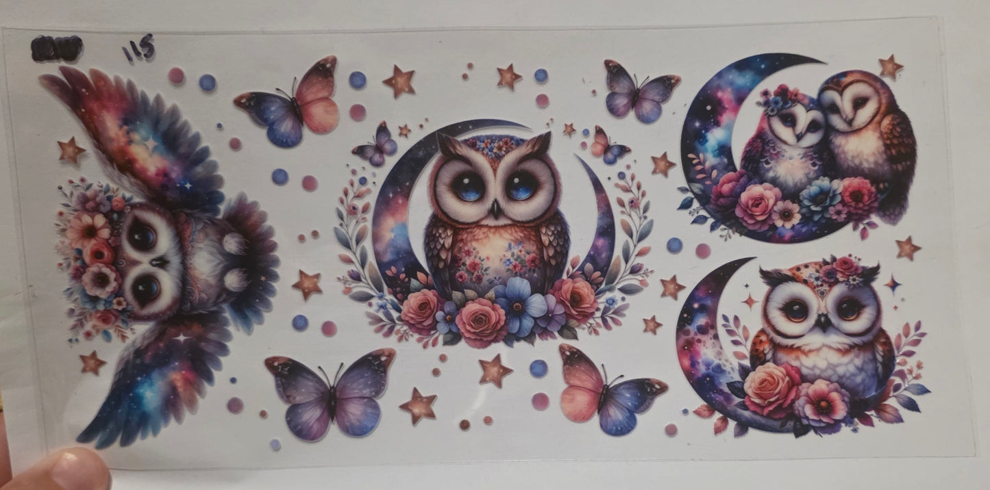 Owls & Butterflys