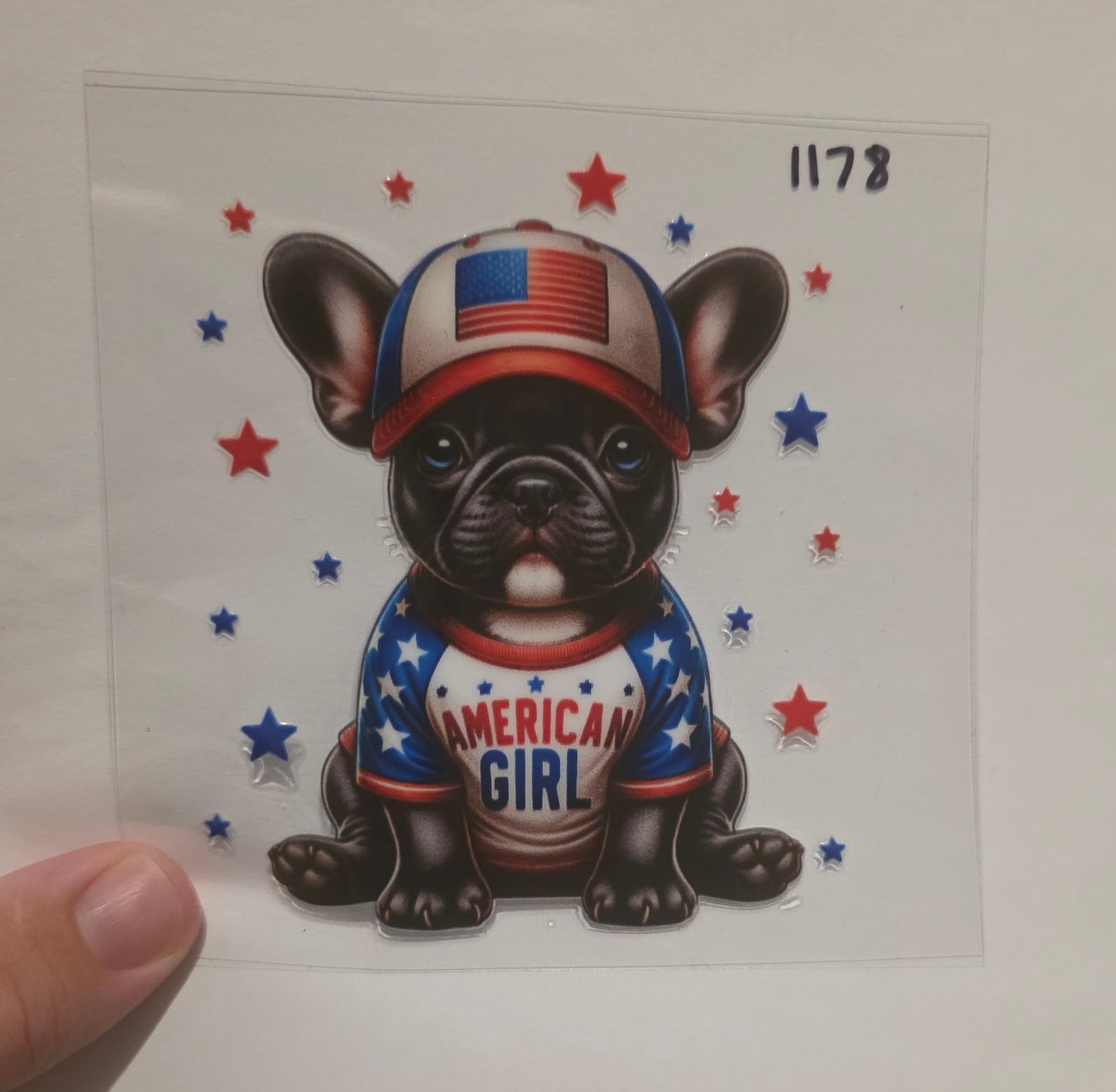 American Frenchie