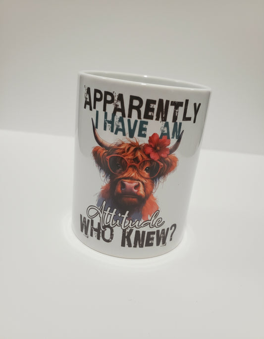 Apparently i have an attitude who knew