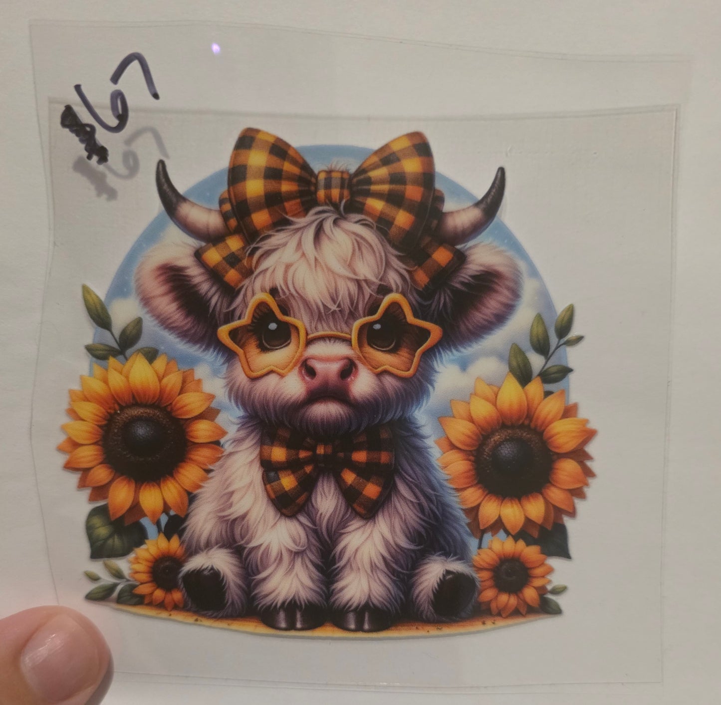 Highland cow with sunflowers