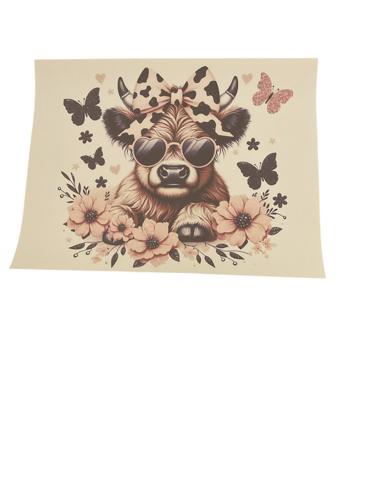 Highland cow