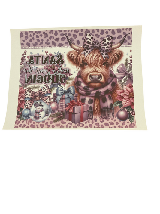Highland cow