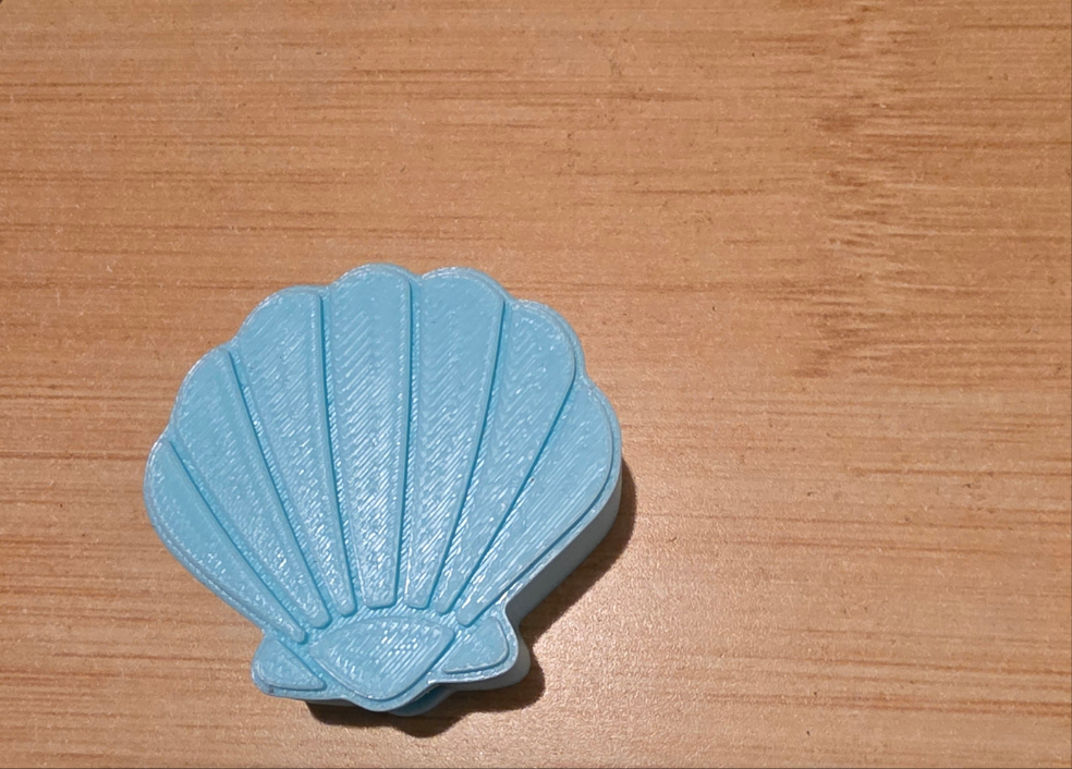 Blue Sea Shell