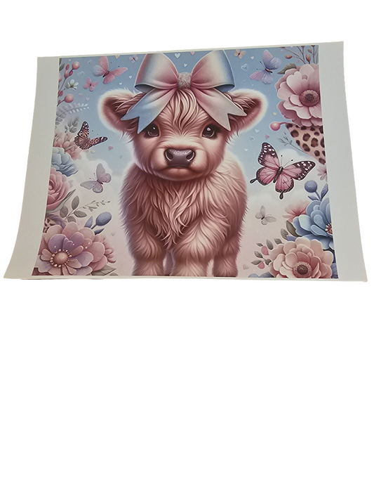 Highland cow