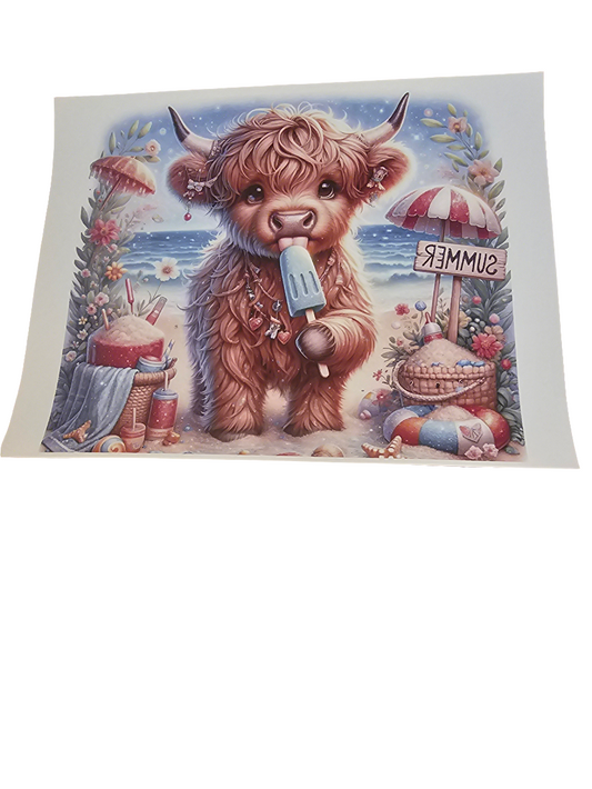 Highland cow summer