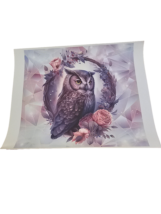 Owl