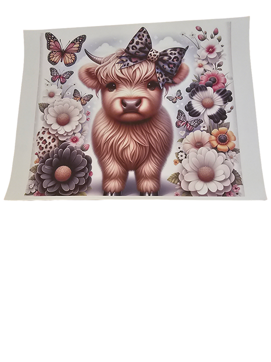 Highland cow