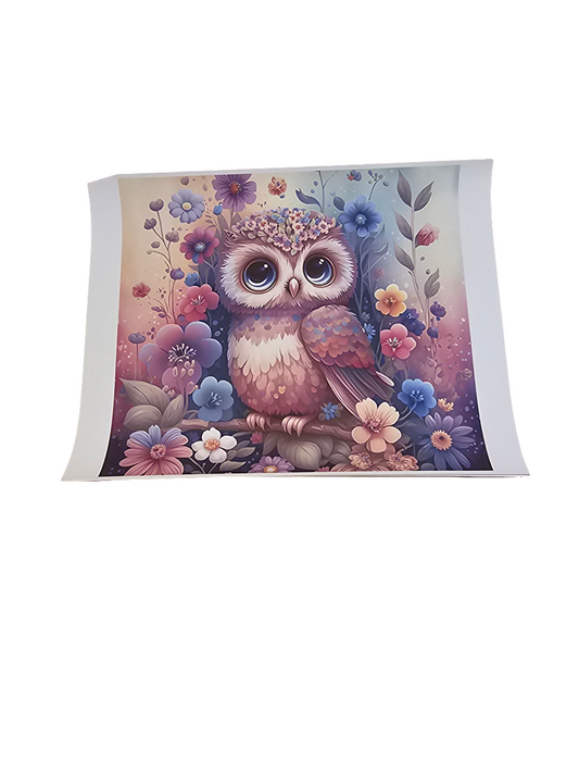 Owl