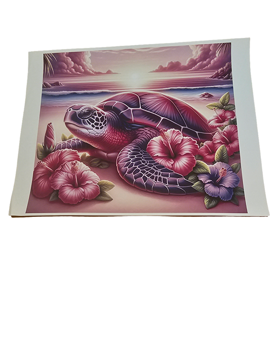 Sea turtle