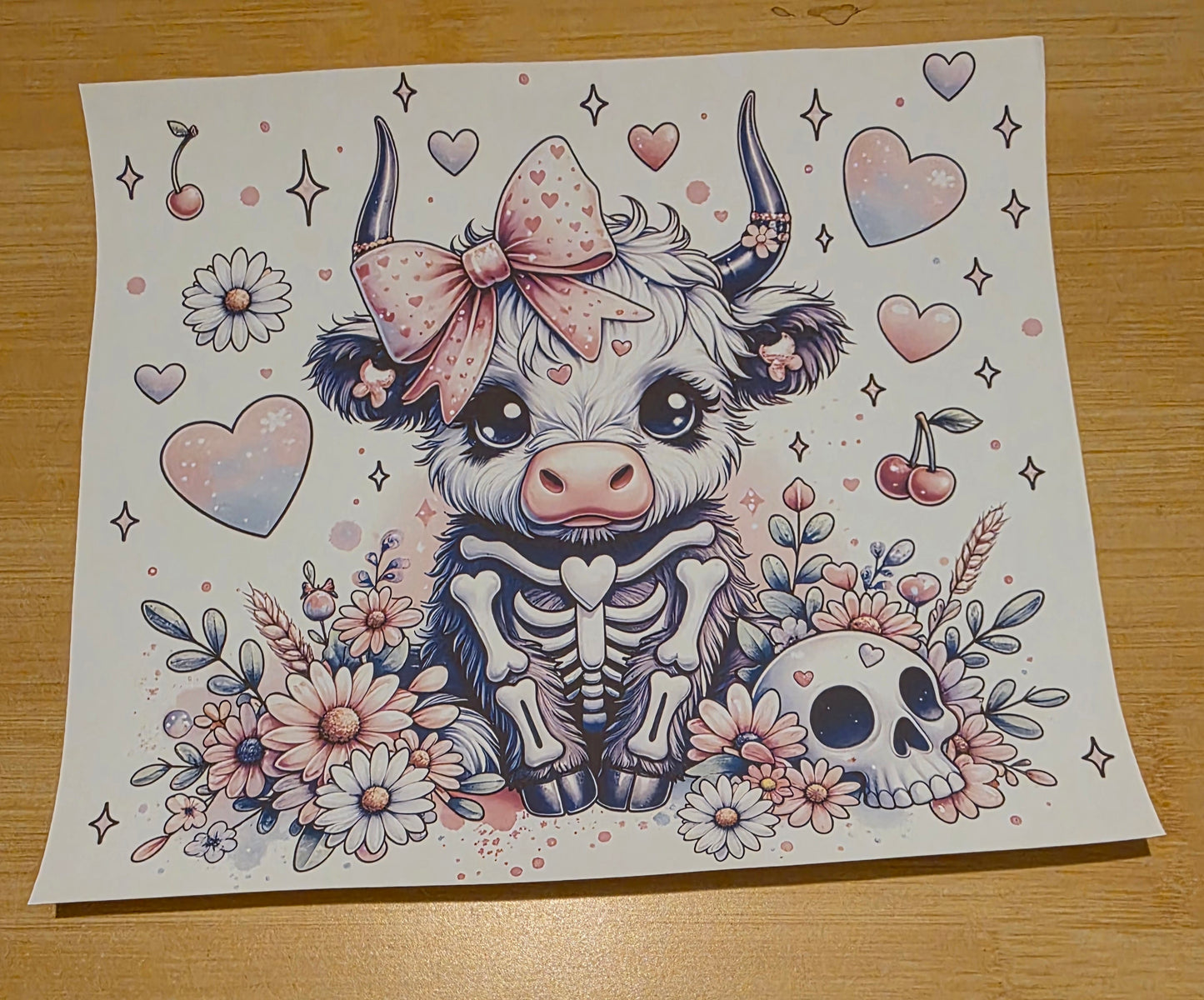 Highland cow