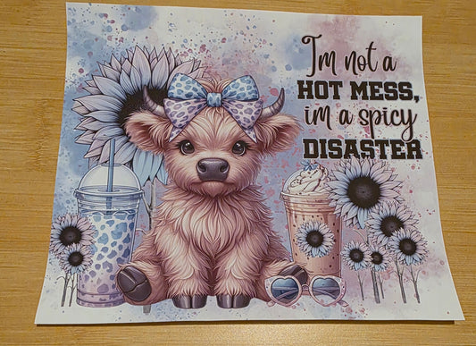 Im not a hot mess im a spicy disaster