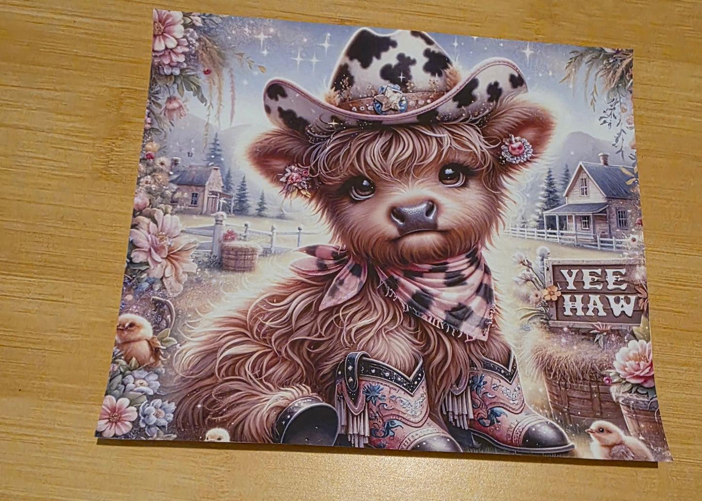 Yea haw Highland cow