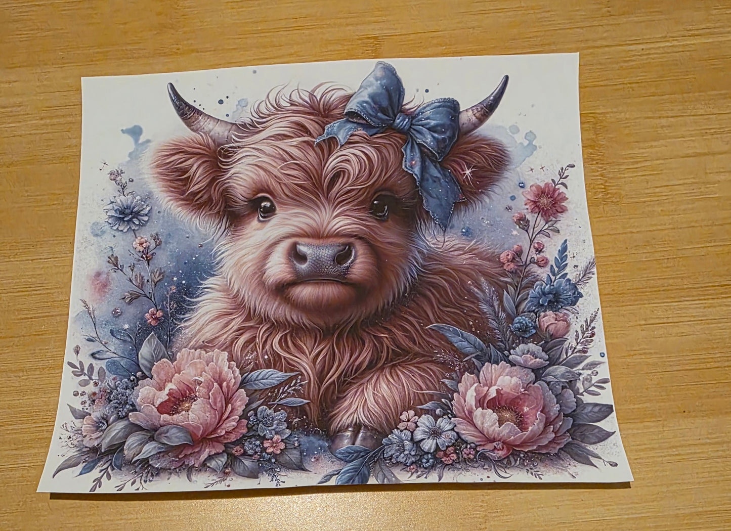 Highland cow