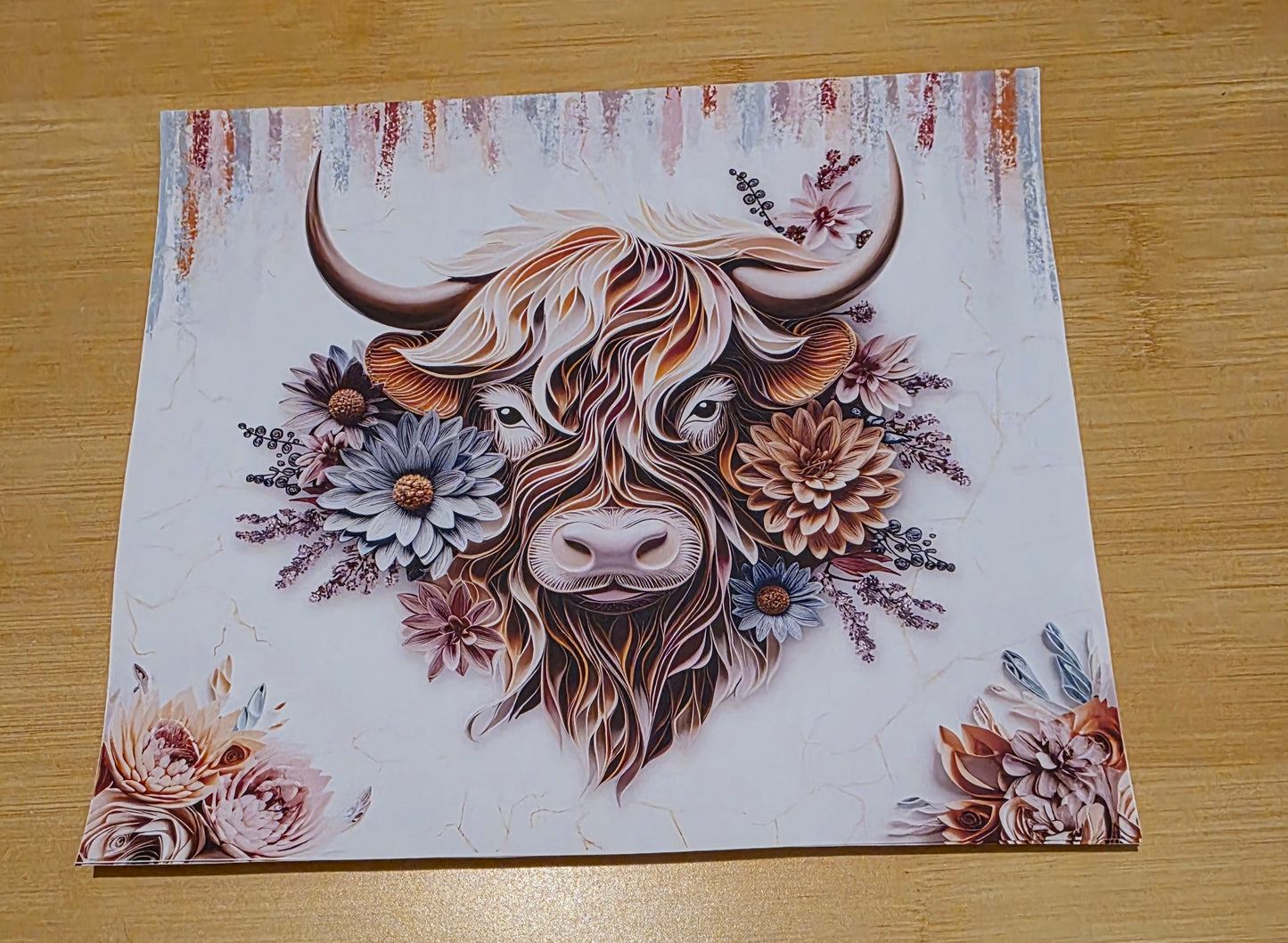 Highland cow