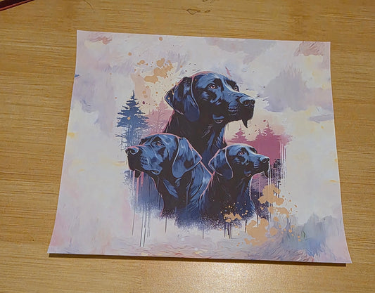 three Dogs