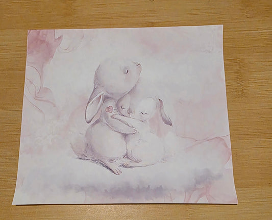 Bunnys