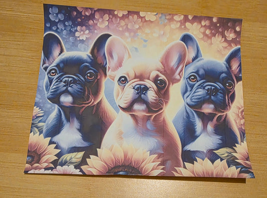 Frenchies