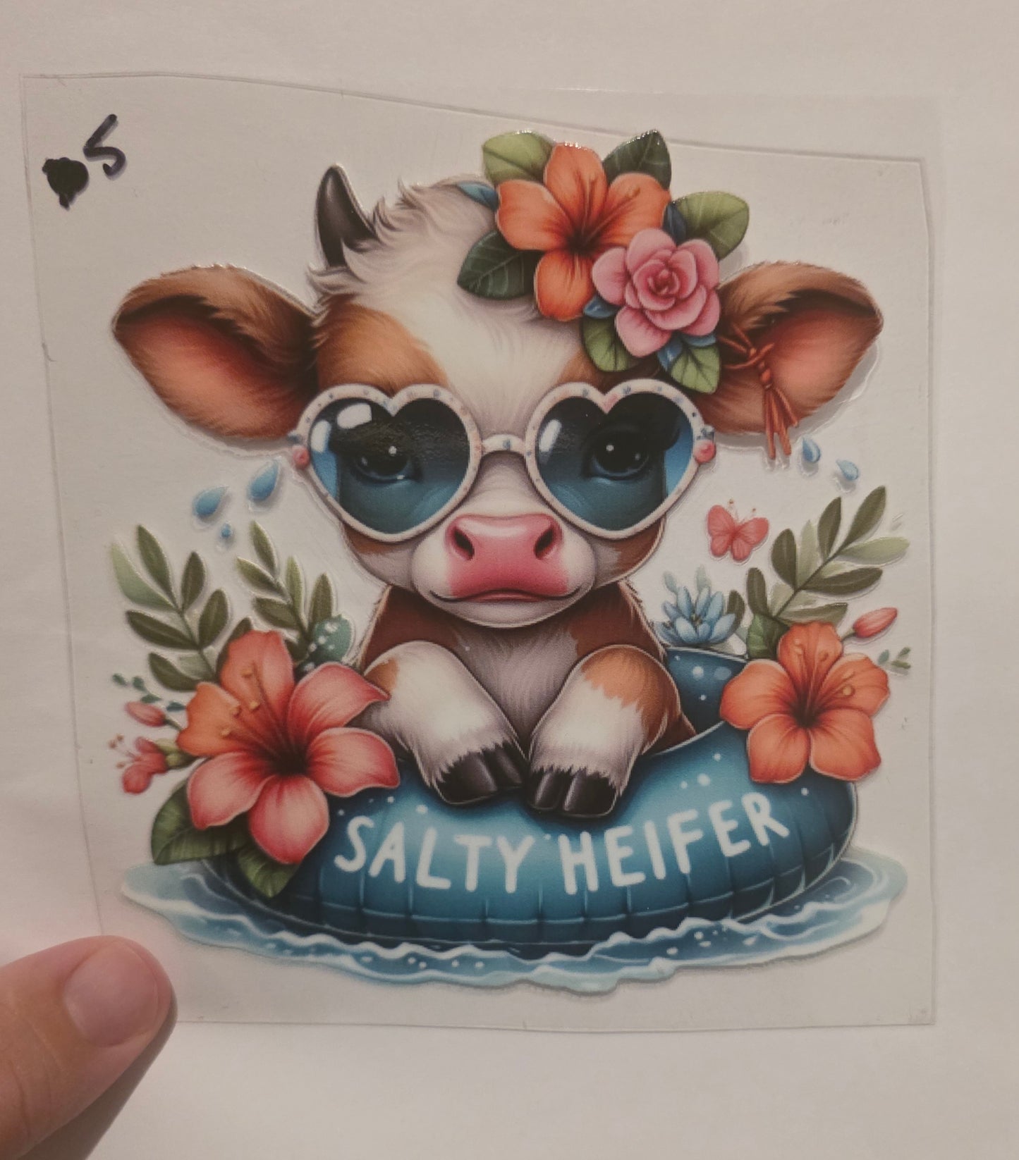 Salty Heifer
