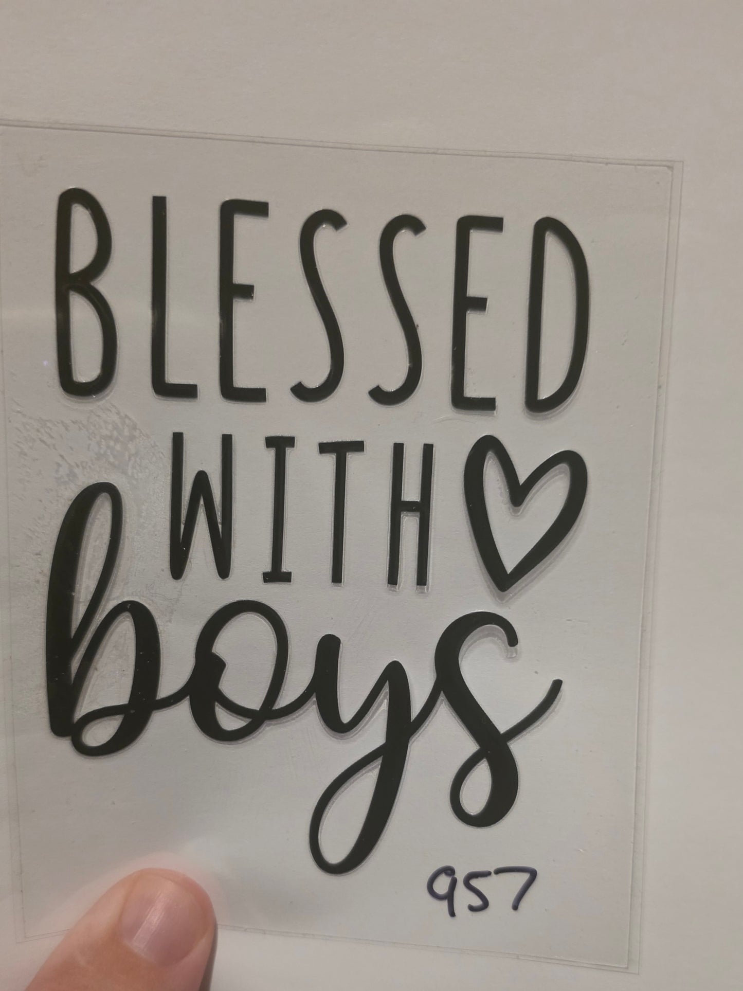 Blesed with Boys