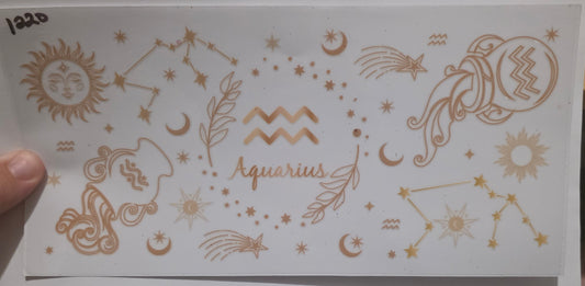 Aquarius Zodiac Sign
