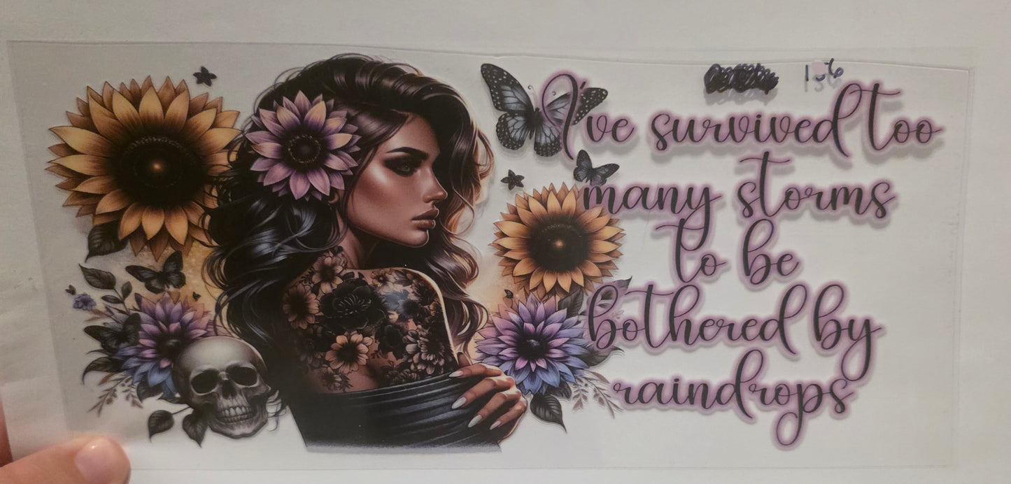 I"ve survived to many storms to be bothered by raindrops