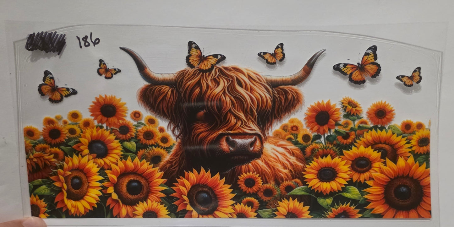 Highland cow with sunflowers