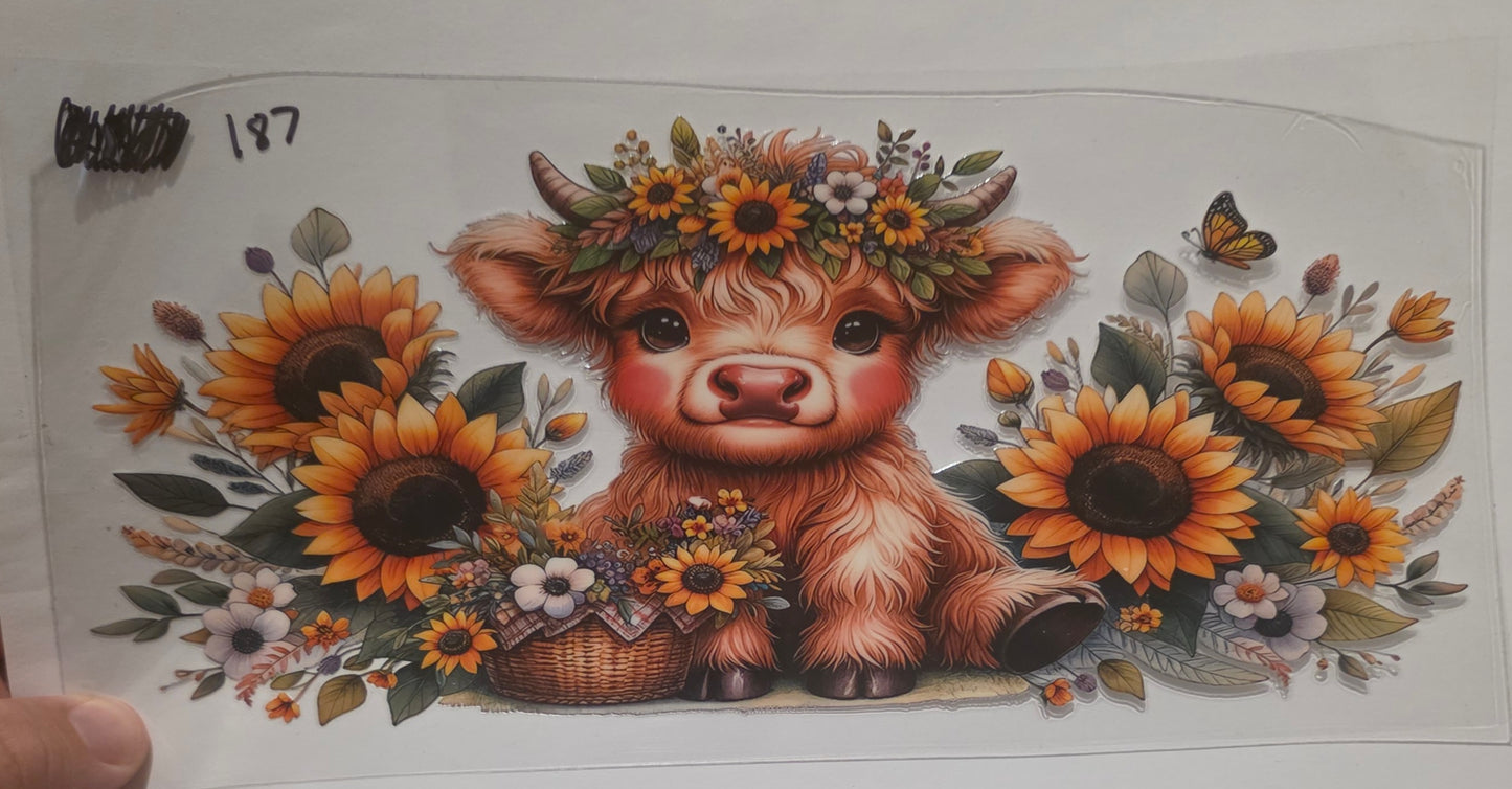Highland cow with sunflowers