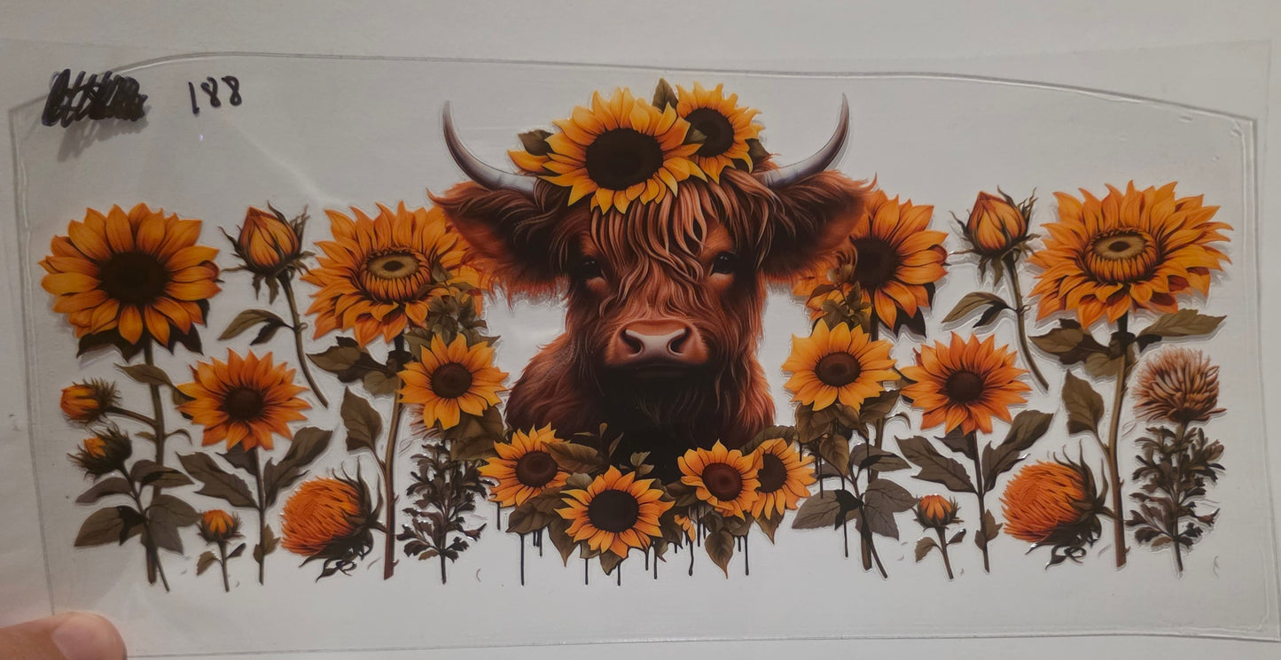 Highland cow with sunflowers