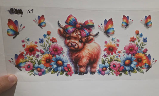 Highland cow