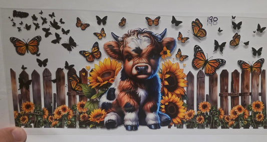 Highland cow
