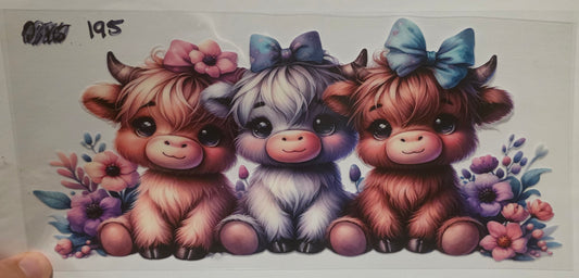 Highland cow