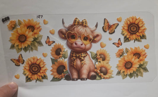 Highland cow