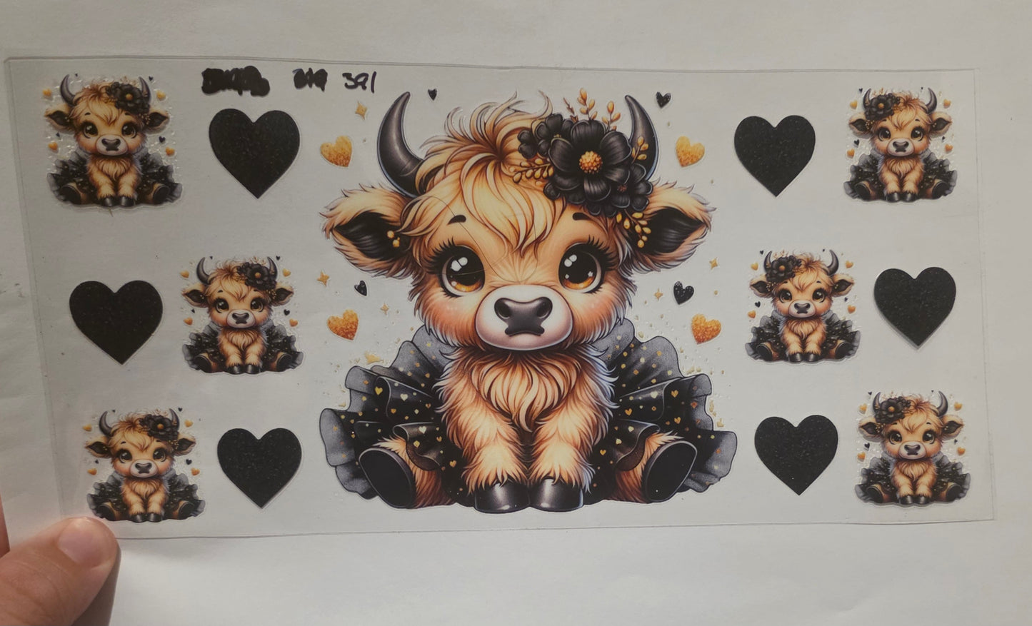 highland cow