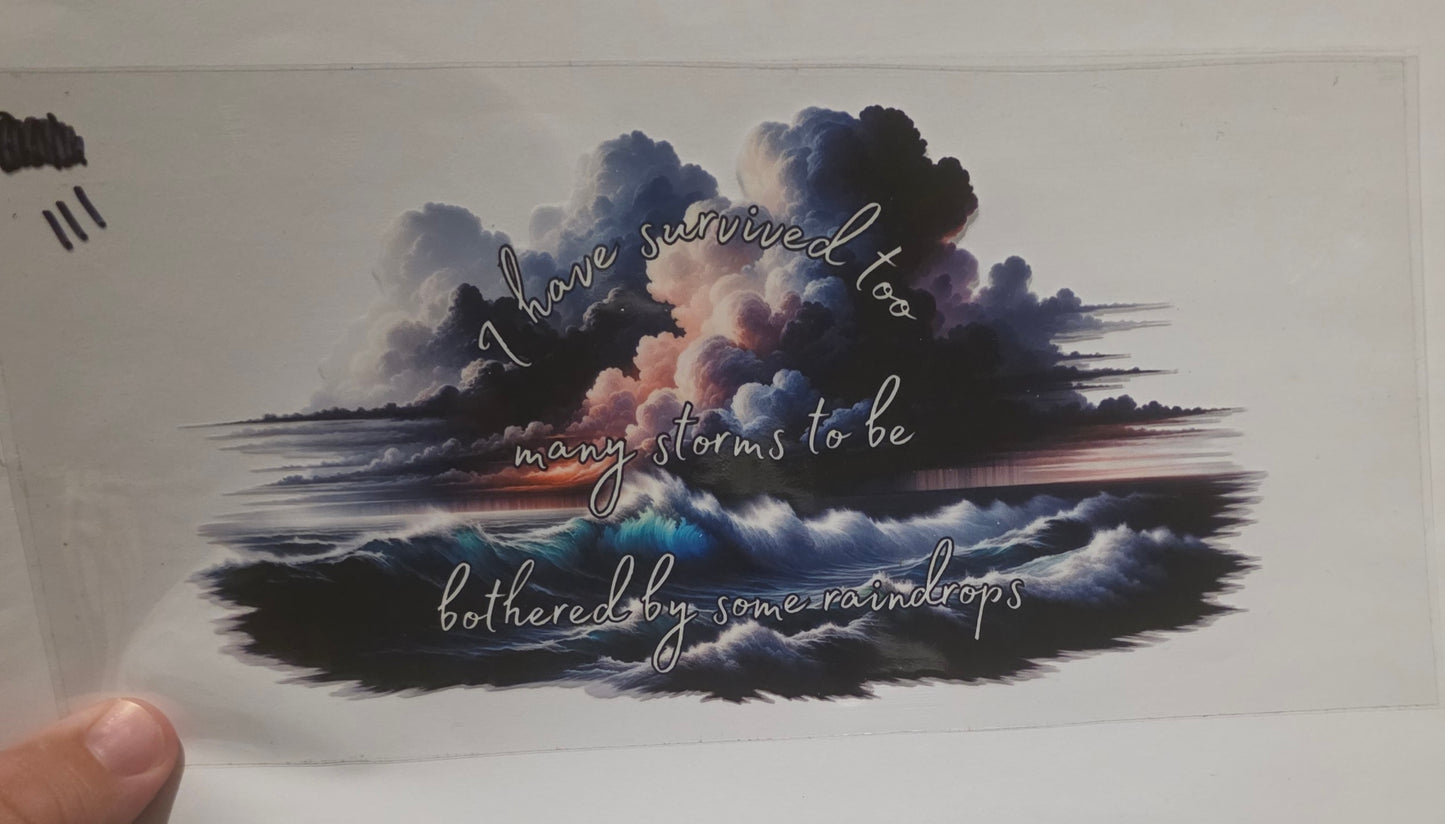 I have survived too many storms to be bothered by some raindrops