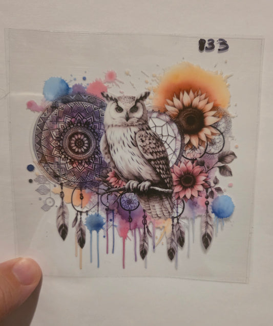 Owl