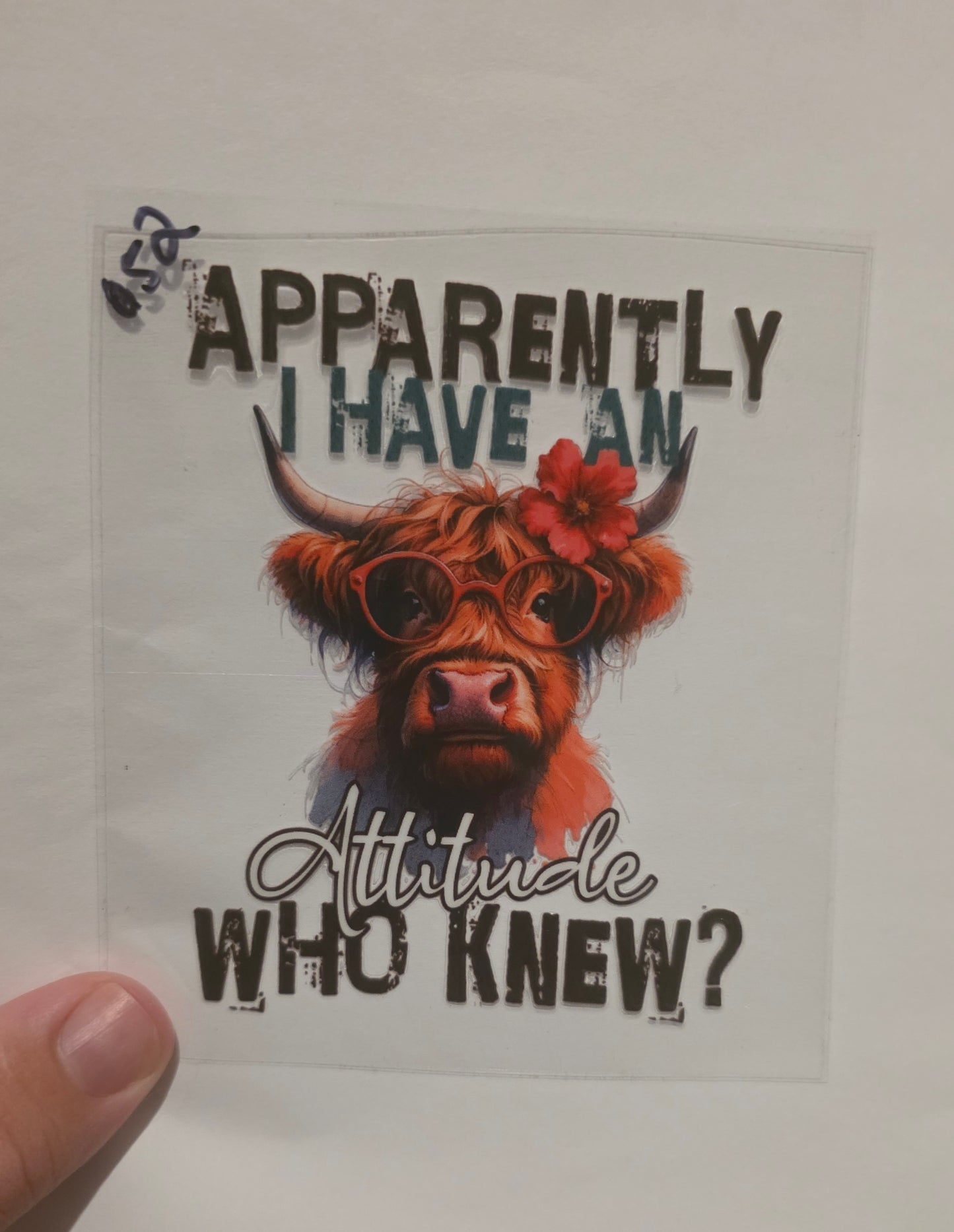 Apparently i have an attitude who knew