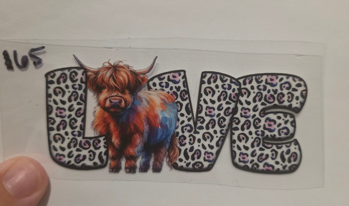 Love with highland cow