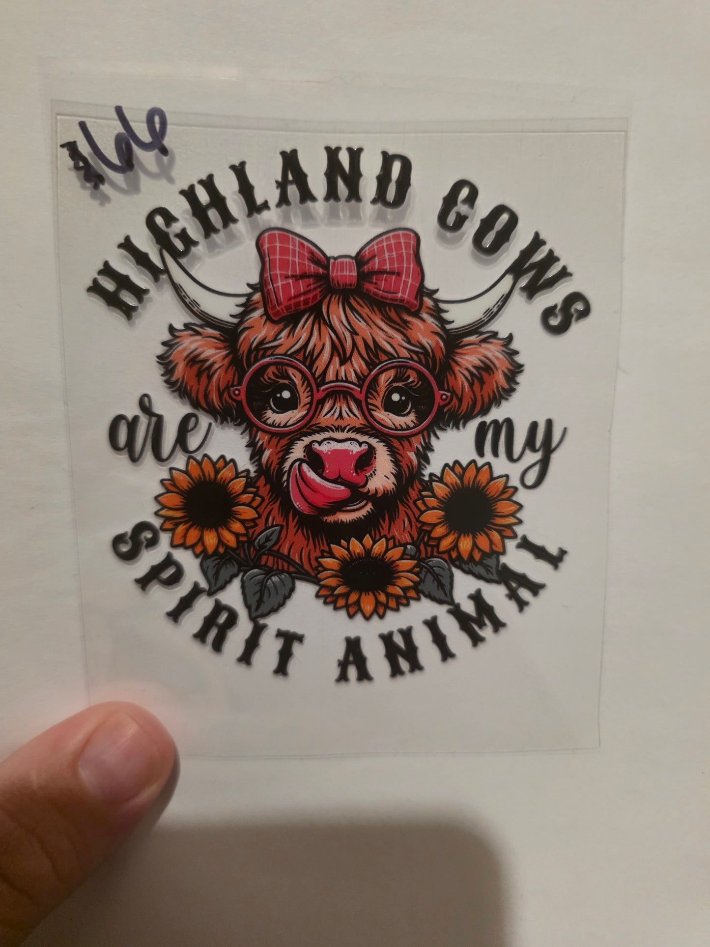 Highland cows are my spirit animal