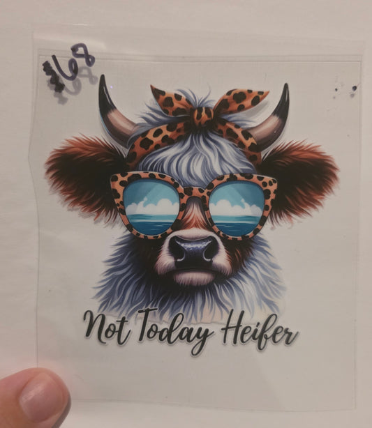Not today Heifer