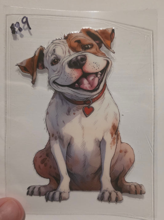 Dog