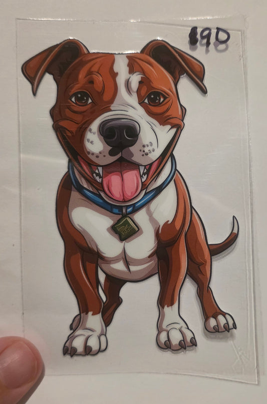 Dog