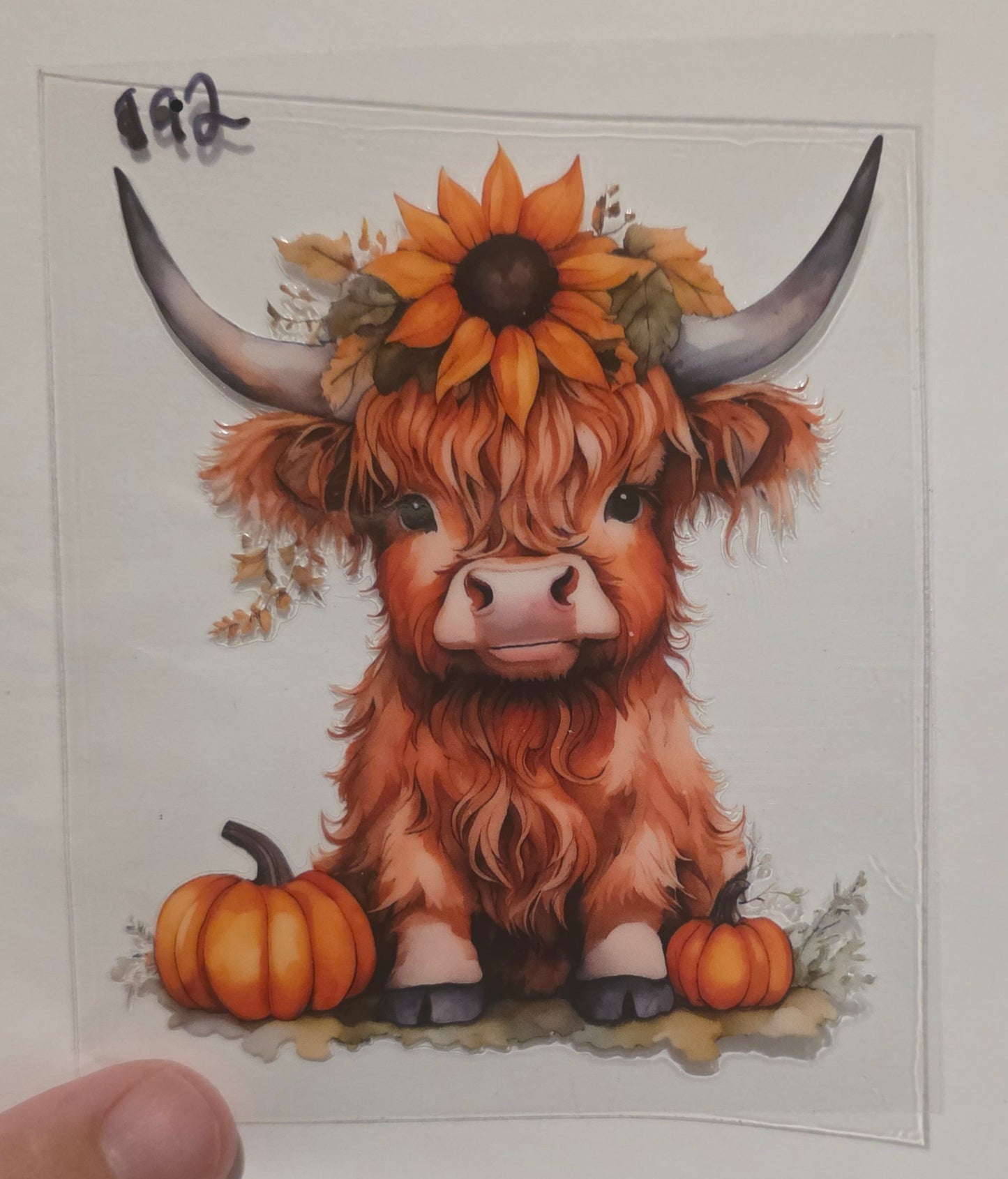 Highland cow Sunflower & Pumkin