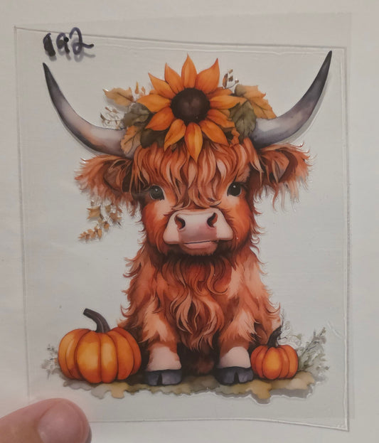 Highland cow Sunflower & Pumkin