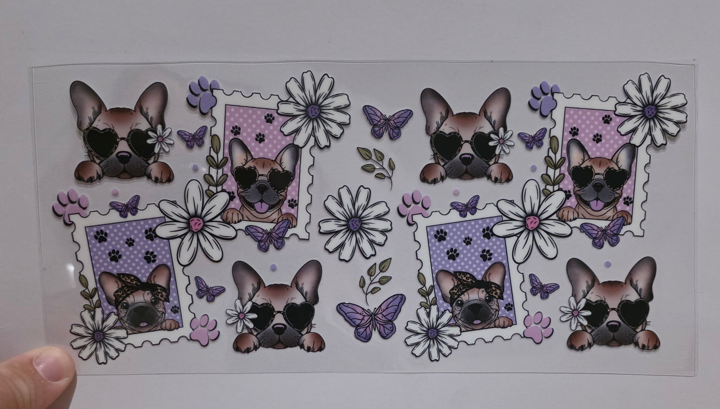 Frenchie