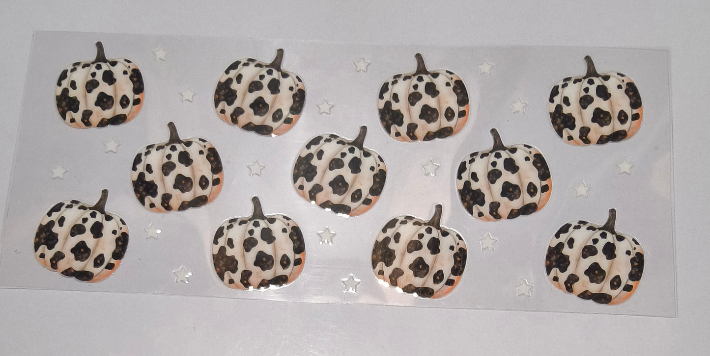 Chetta print Pumkin